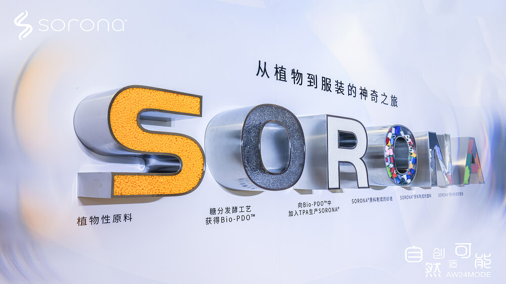官方网站建设