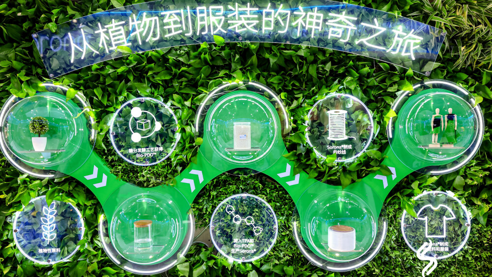 官方网站建设