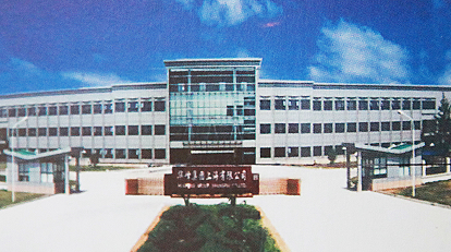 汇赢国际官方网站建设